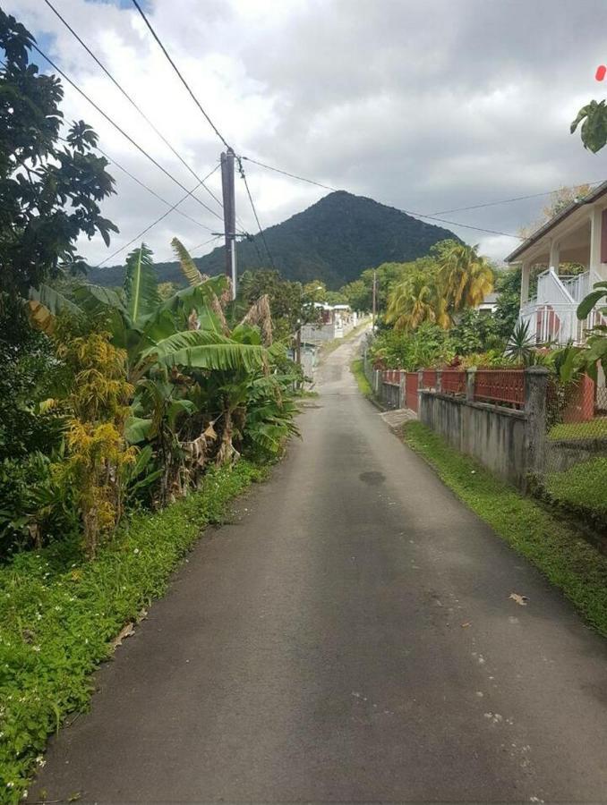 Creole Nest Villa Pointe-Noire Buitenkant foto